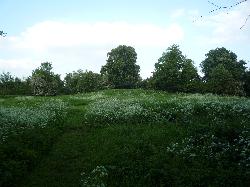 Deddington Castle
